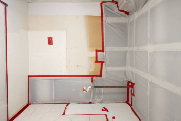 Best Mold Remediation for Healthcare Facilities  in St Charles, MN