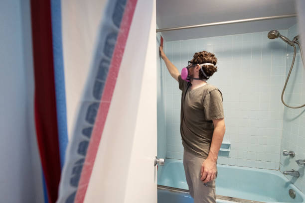 Best Mold Odor Removal Services  in St Charles, MN