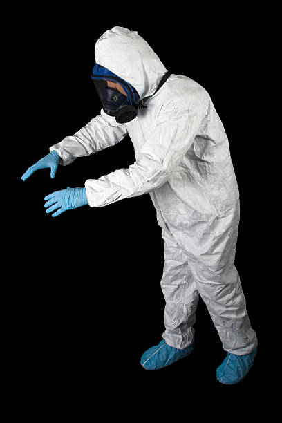 Best Asbestos and Lead Testing During Mold Inspection  in St Charles, MN