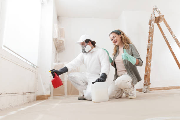 Best Post-Construction Mold Inspection  in St Charles, MN